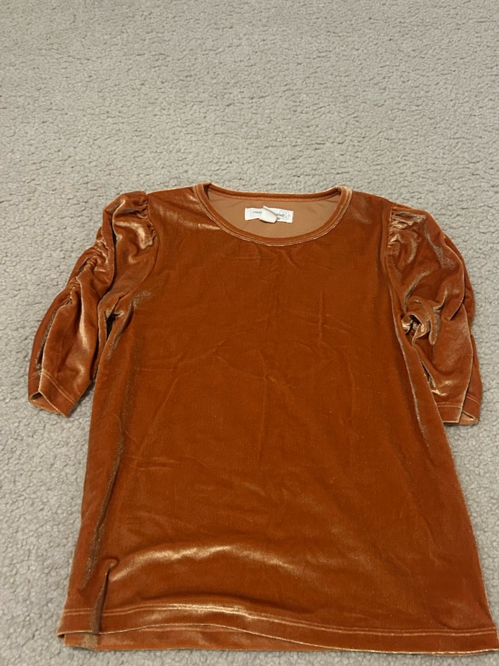 Treasure & Bond Copper Velvet Crewneck Top